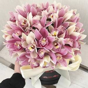 51 орхидея, букет в коробке R789