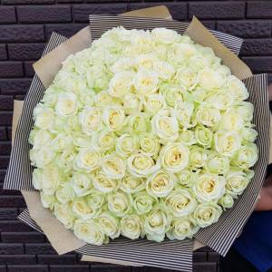 Букет 101 белая роза 70 см с упаковкой R1960