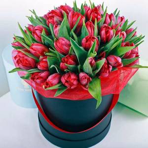 39 красных тюльпанов в коробке R981